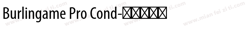 Burlingame Pro Cond字体转换